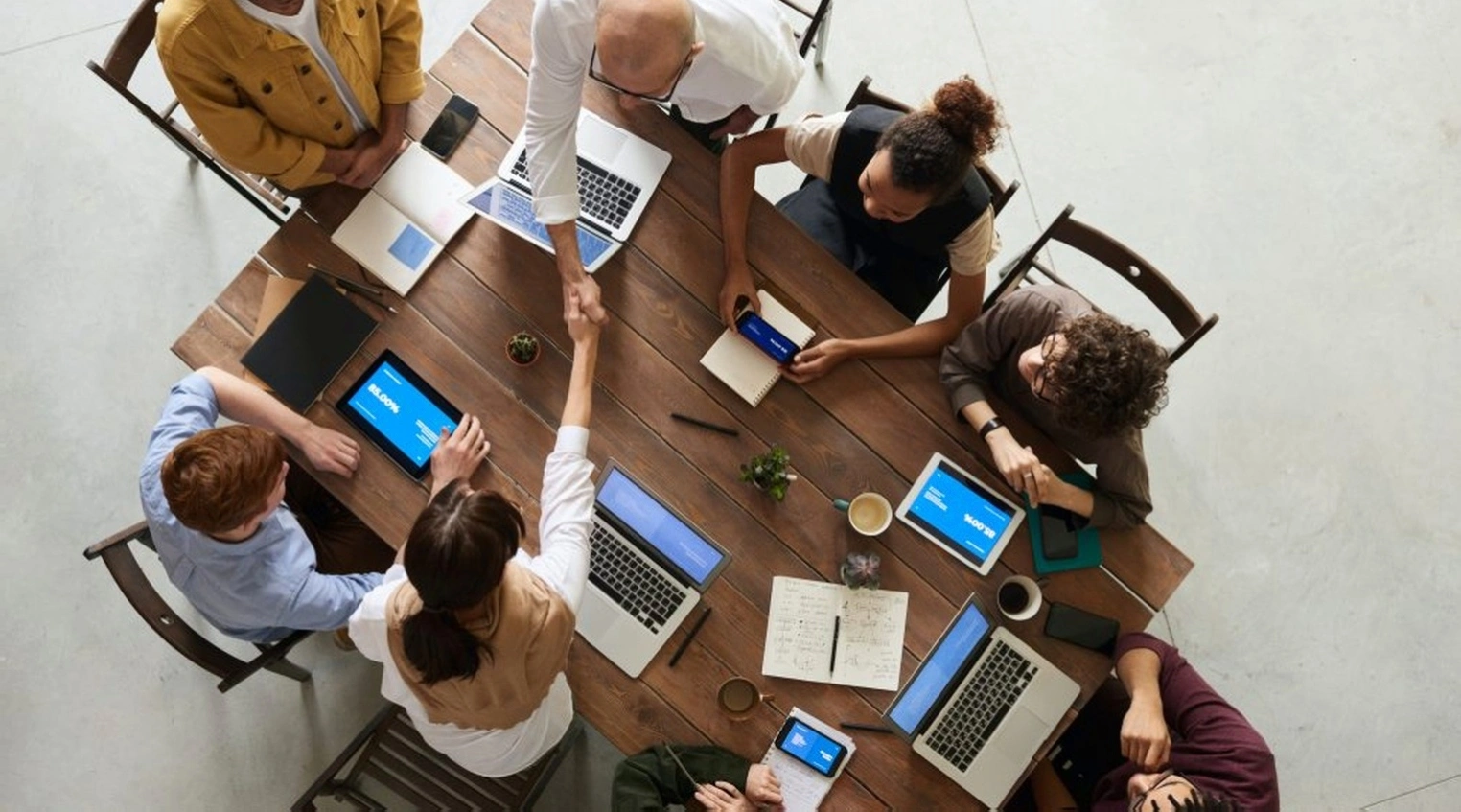 Professional business coaching development